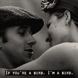 Meet your Posher, Allie